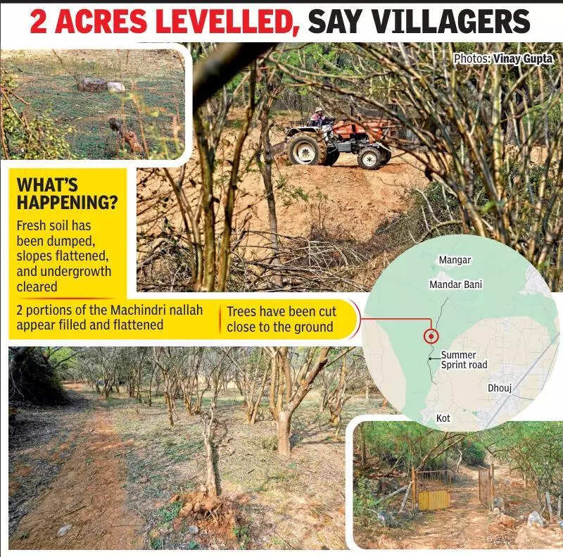Protected Aravali slopes in Faridabad flattened as tractors trample on rules