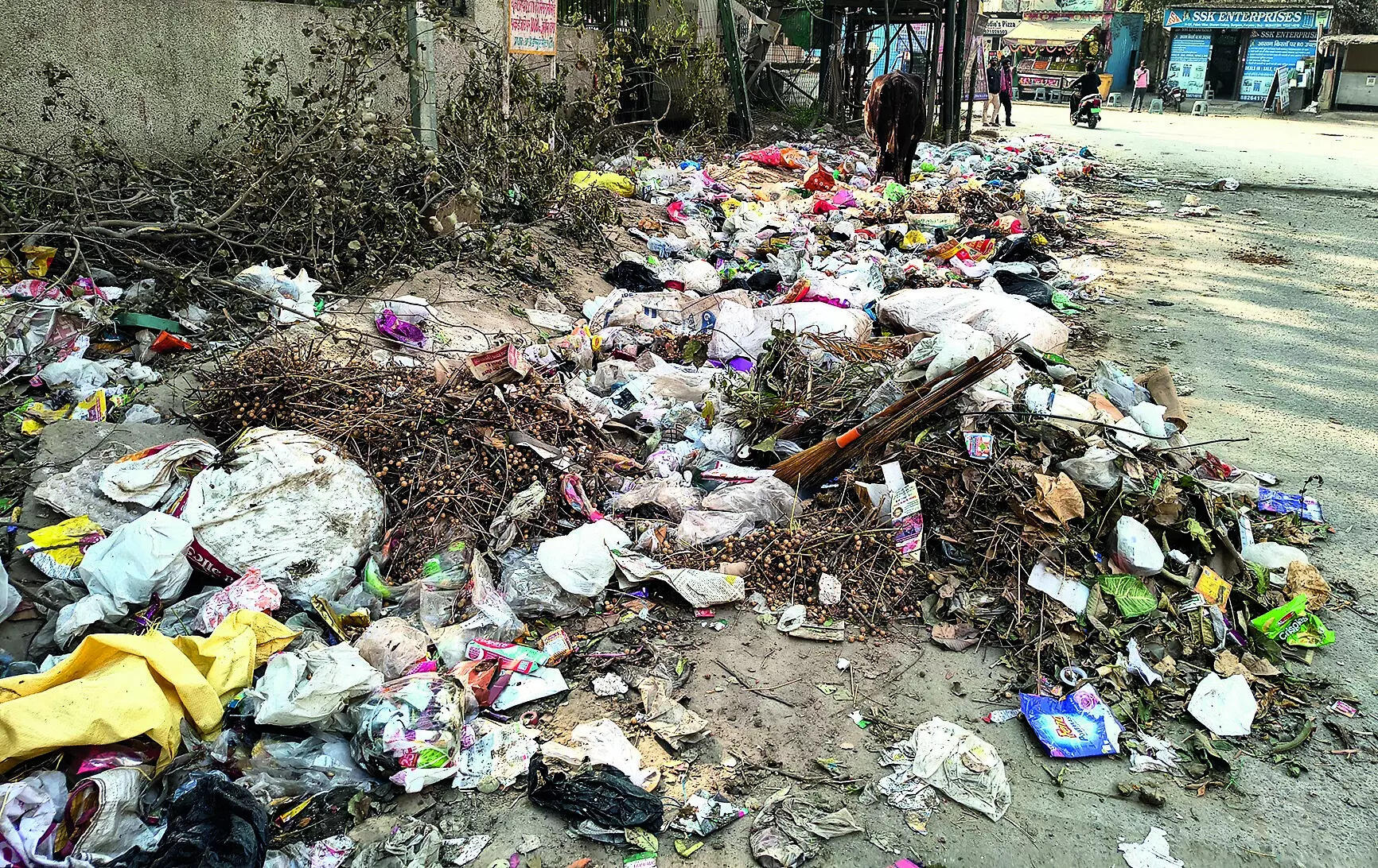 Stop illegal waste dumping: NGT warns Haryana govt officials of prosecution