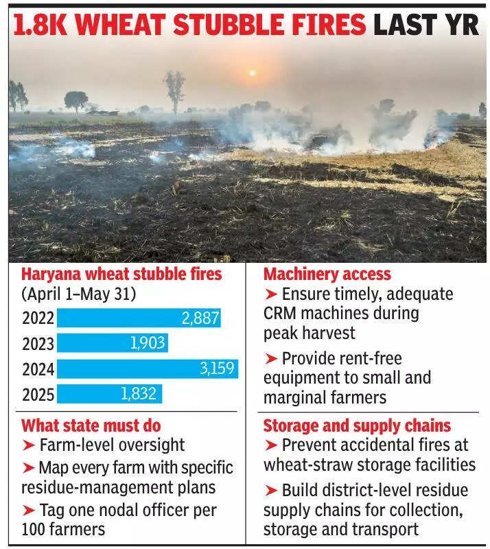 Wheat stubble burning too adds to NCR pollution, Haryana to track every farm after CAQM order