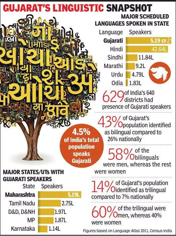 International Mother Language Day: Gujarat has high share of bilingual, trilingual population