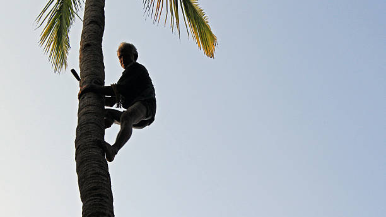 Dispute of toddy tappers over cast certs signals end