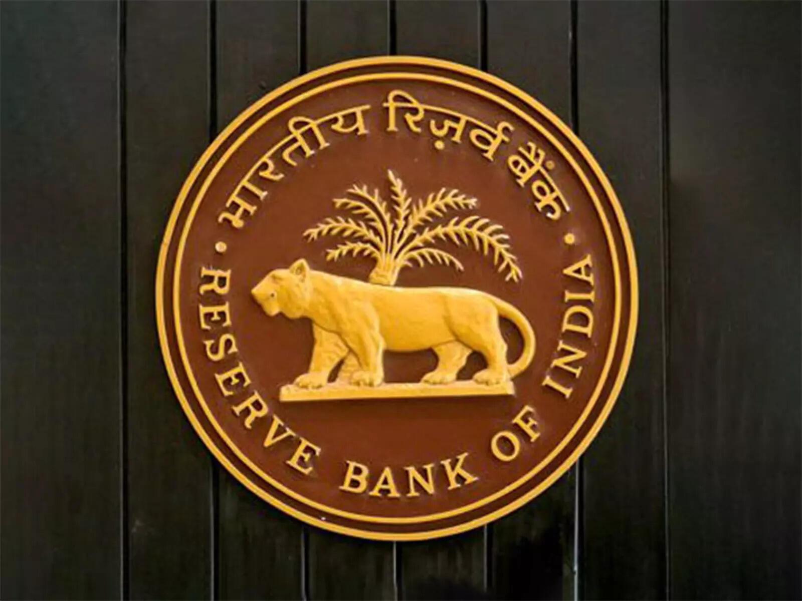 Policy rate may not change soon: RBI