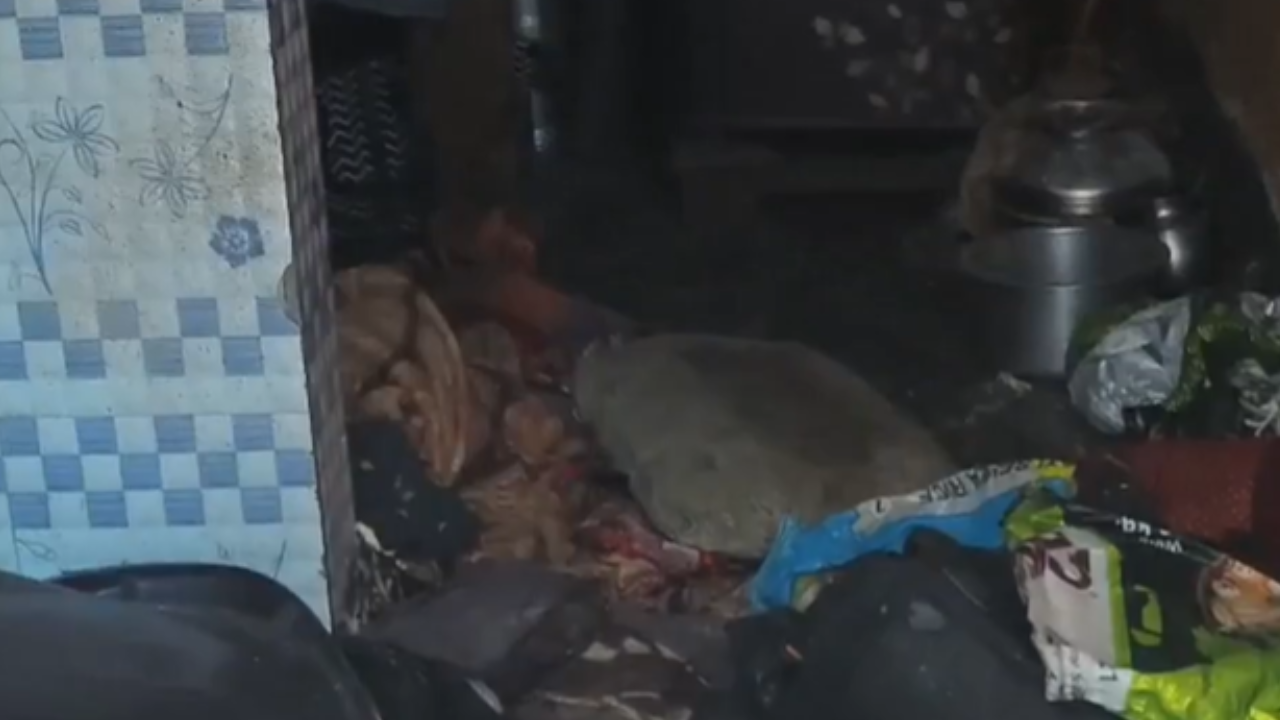 3 family members injured in gas cylinder blast in southeast Delhi