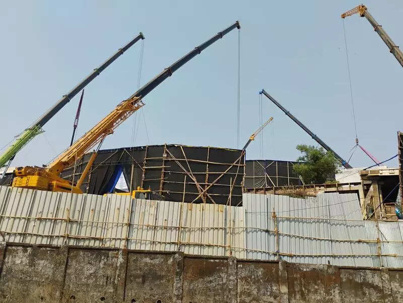 Mumbai: Tree-destruction in eco-sensitive zone, complaint lodged by NGO