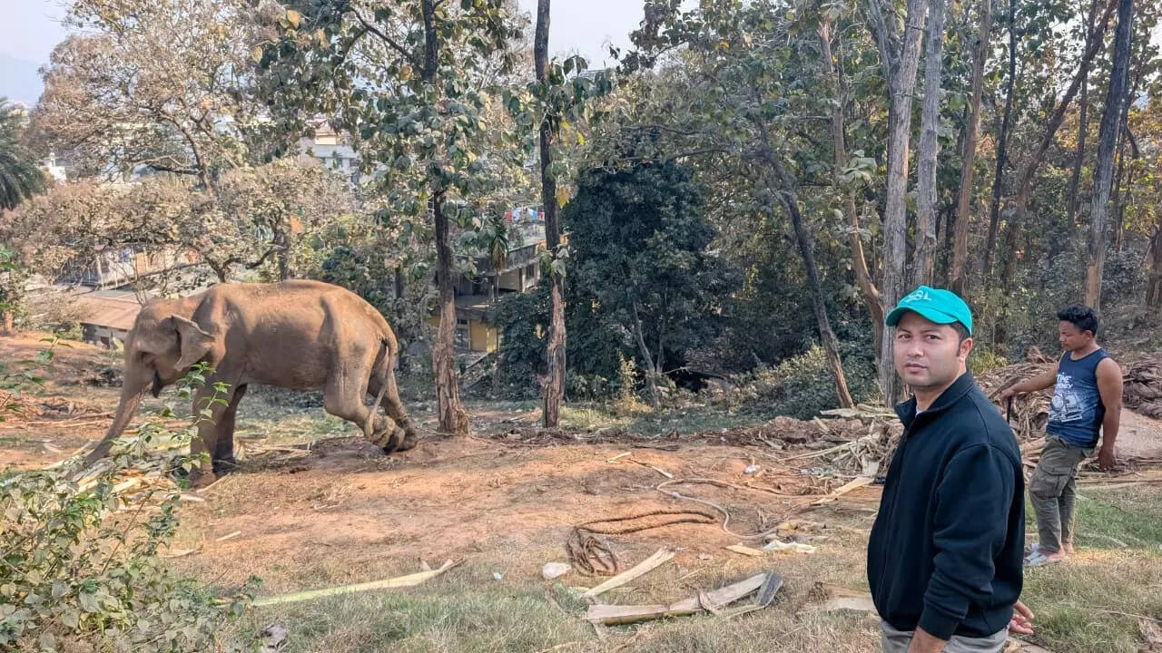 Wildlife vet Phukan dedicates life to saving animals in distress