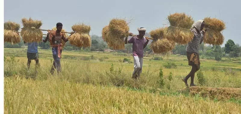 Rs 240cr for grain storage infra