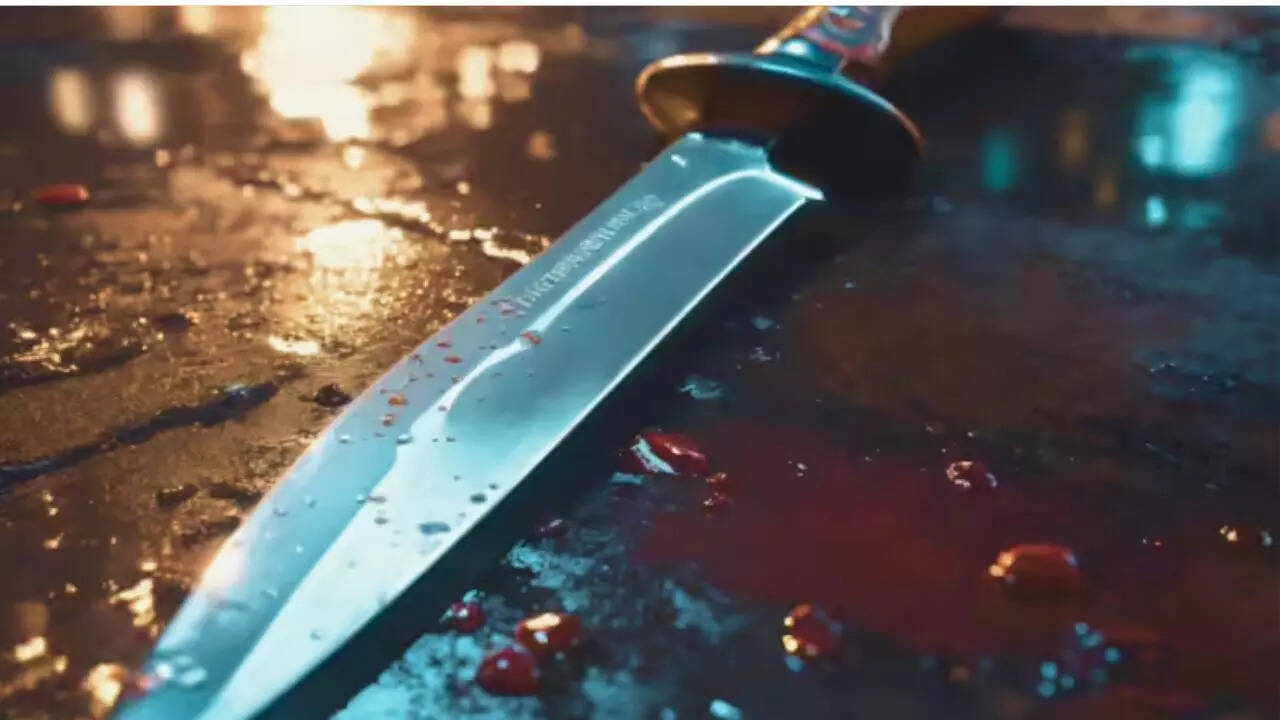 South Delhi road rage: Techie stabs man to death in parking row, injures friend