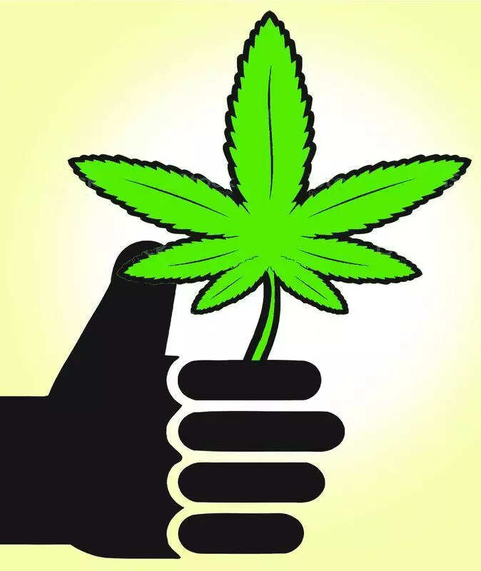 Police arrest another person in connection with 300kg ganja seizure from car