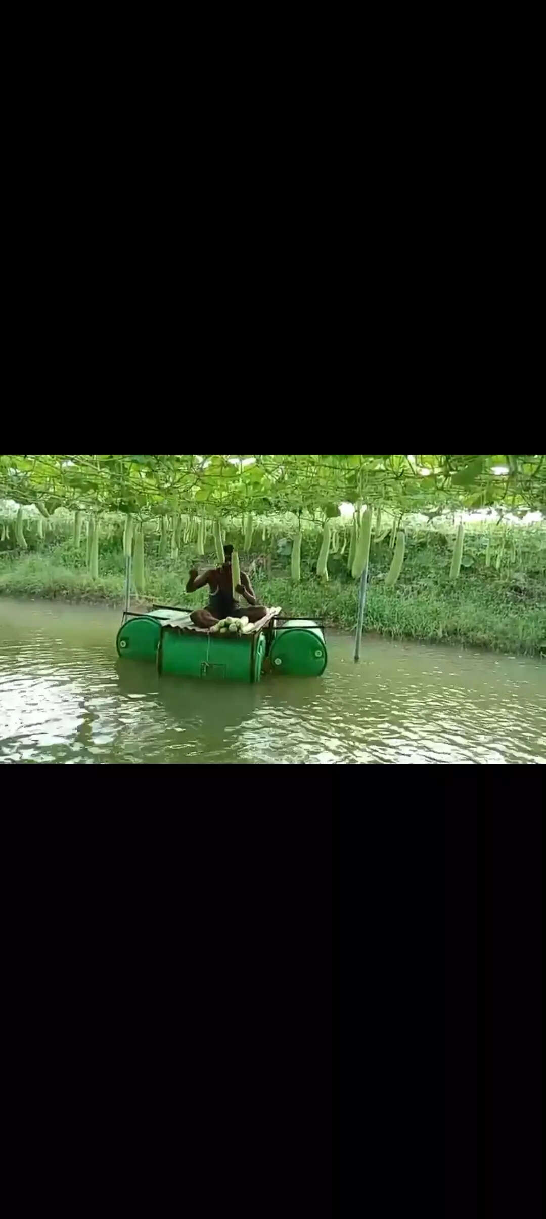 PM Modi lauds Odisha farmer on Mann Ki Baat