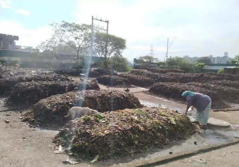 Corpn plans three more windrow composting plants in Chennai city