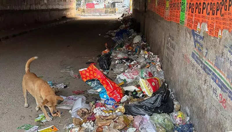 Waste mounds block Gurgaon underpass, width of service road shrinks