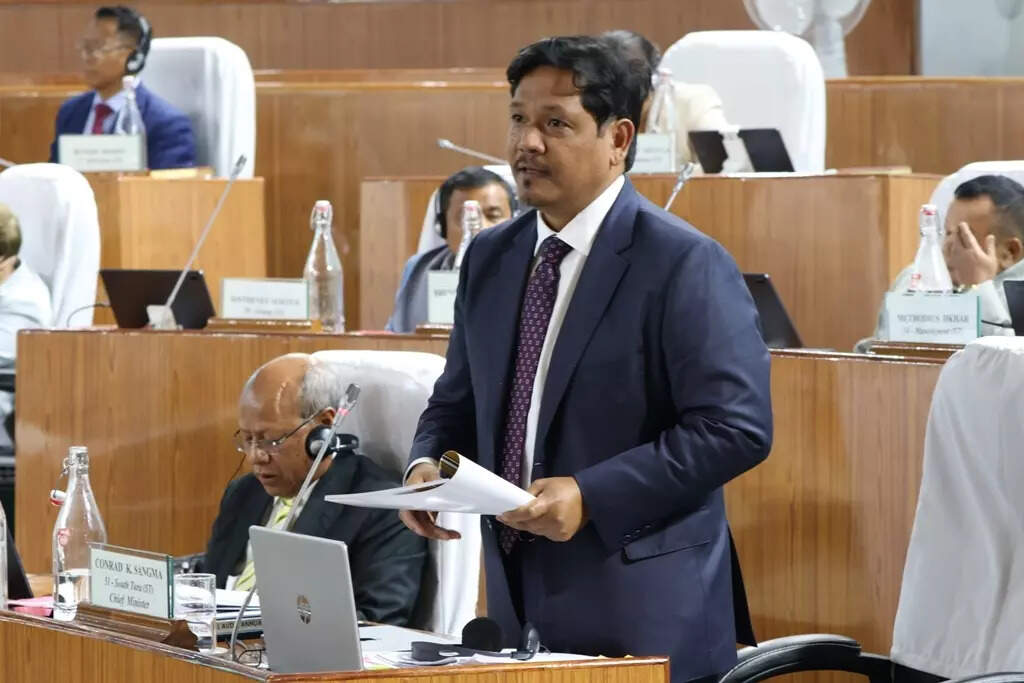 Meghalaya budget focuses on gender equality, youth &amp; climate