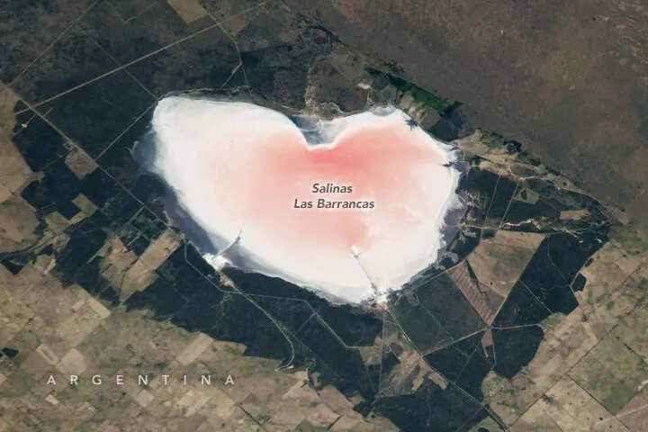 NASA captures ‘heart-shaped’ lake glowing pink in Argentina