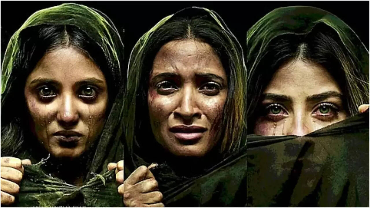 Kerala HC halts The Kerala Story 2 release, imposes two-week stay