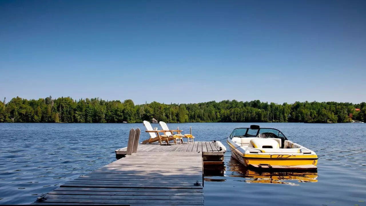 Scientist in America are electrocuting lakes and the reason is alarming