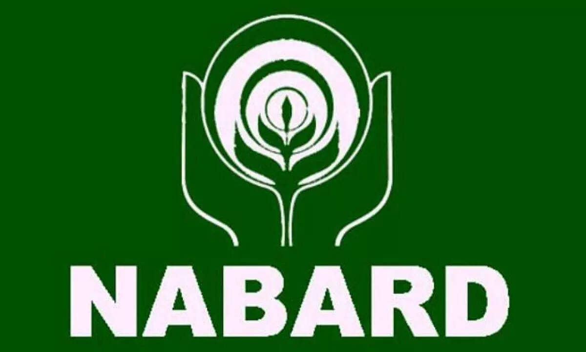 NABARD Grade A Mains result 2026 released: Check direct link to download, next steps for qualified candidates