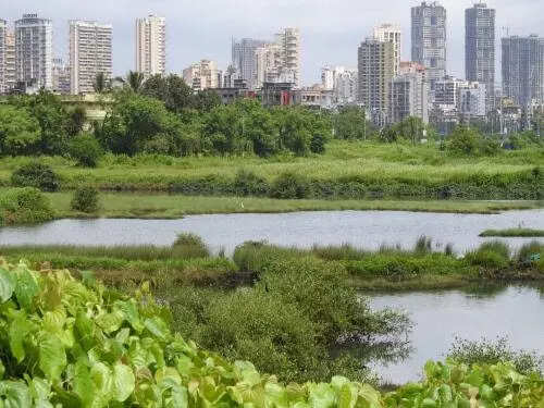 Only shops to benefit Palm Beach Road’s proposed tunnel, says Navi Mumbai locals