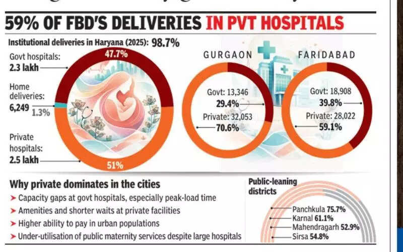 Private hospitals handle 7 in 10 births in Gurgaon, bring down Haryana government facility share