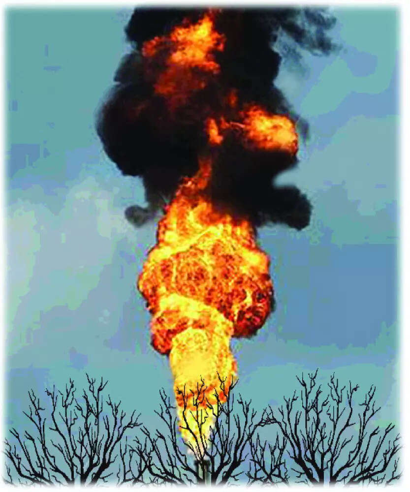 Vacant house gutted in Karaswada fire