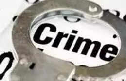 Liquor hidden in freezer van carrying blood plasma, 24 bottles of Scotch seized