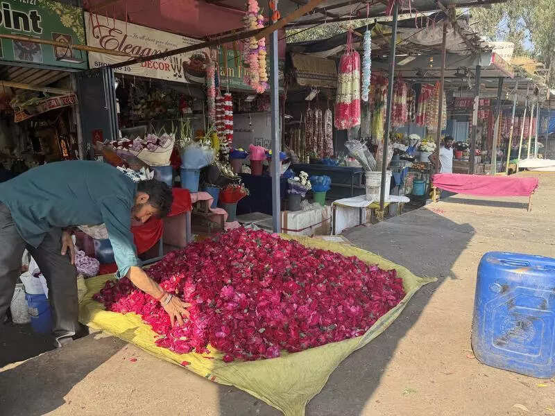 Flower Holi gains popularity, but city struggles with floral waste disposal