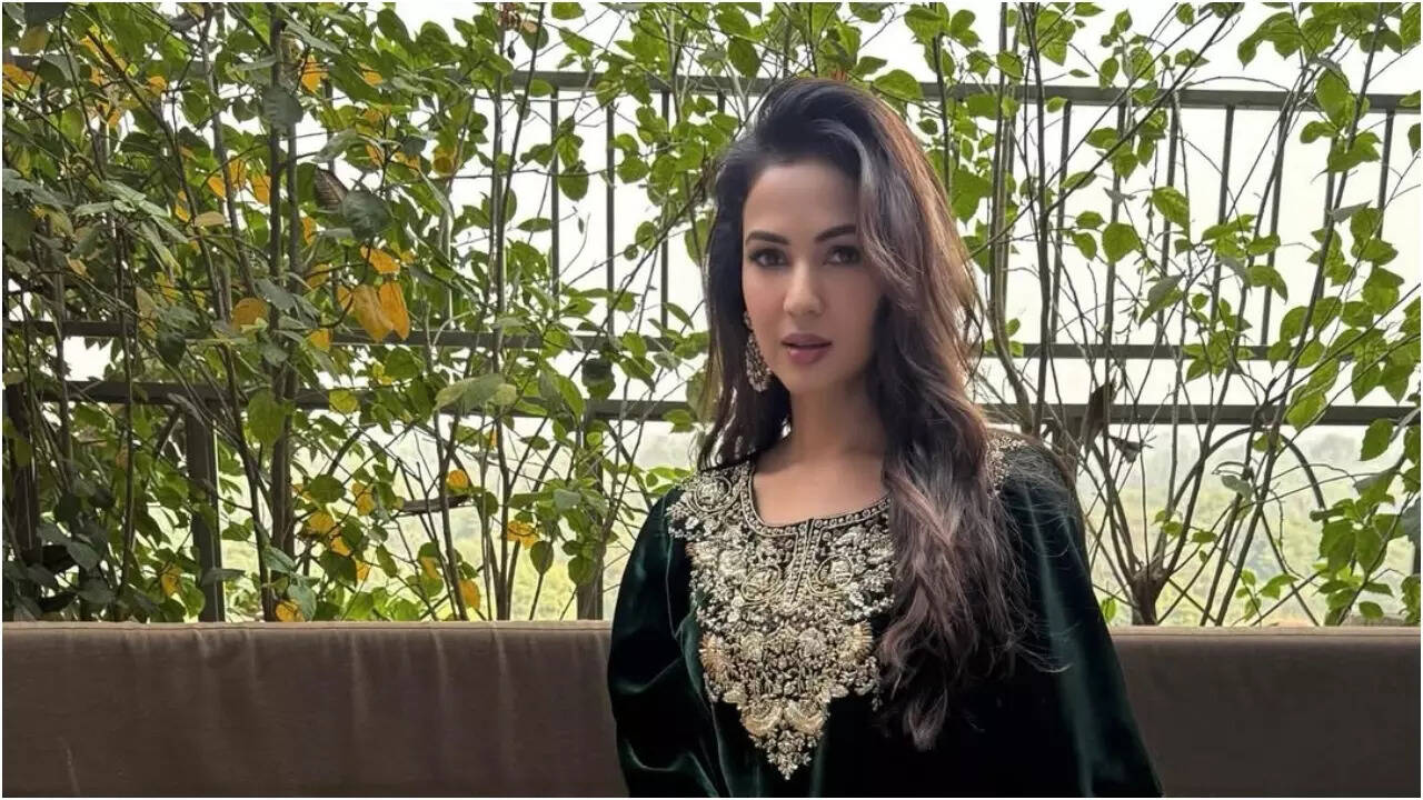 Sonal shares emotional post after safe return from Dubai