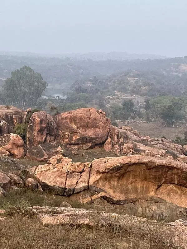 msid 129048206,imgsize 73976 https://jaipur.visitinrajasthan.com/wp-content/uploads/2023/10/cropped-cropped-R-2.png