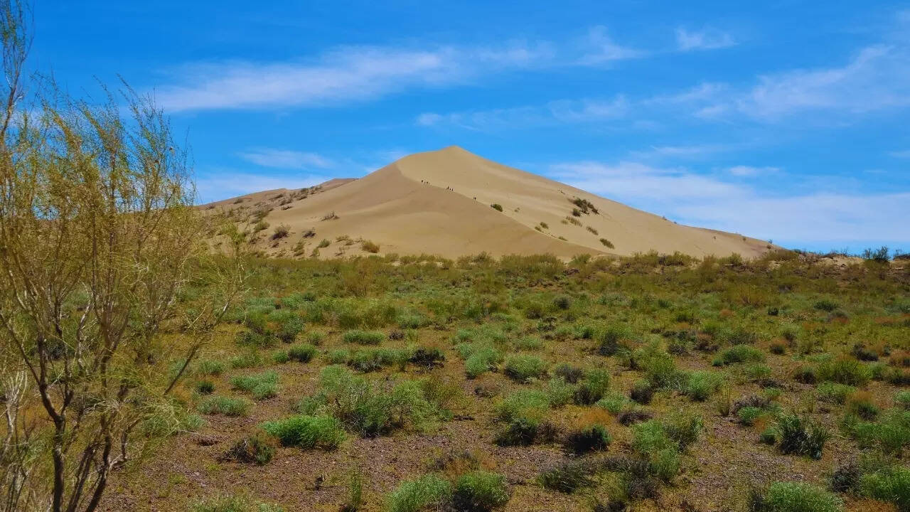 Singing Dunes