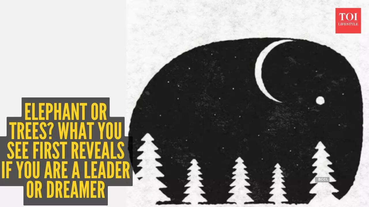 msid 129127598,imgsize 40648