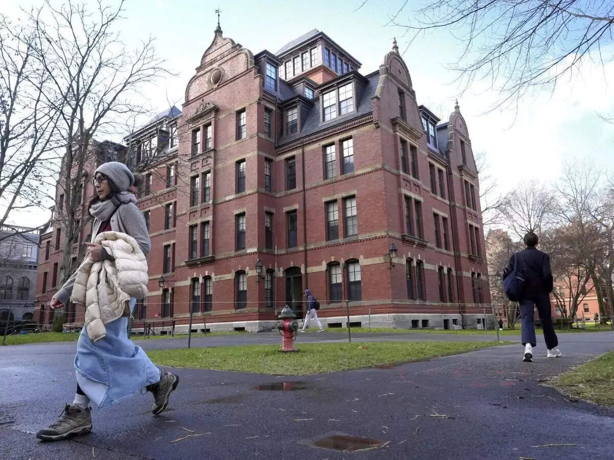Harvard layoffs extend to alumni affairs office as budget squeeze grows