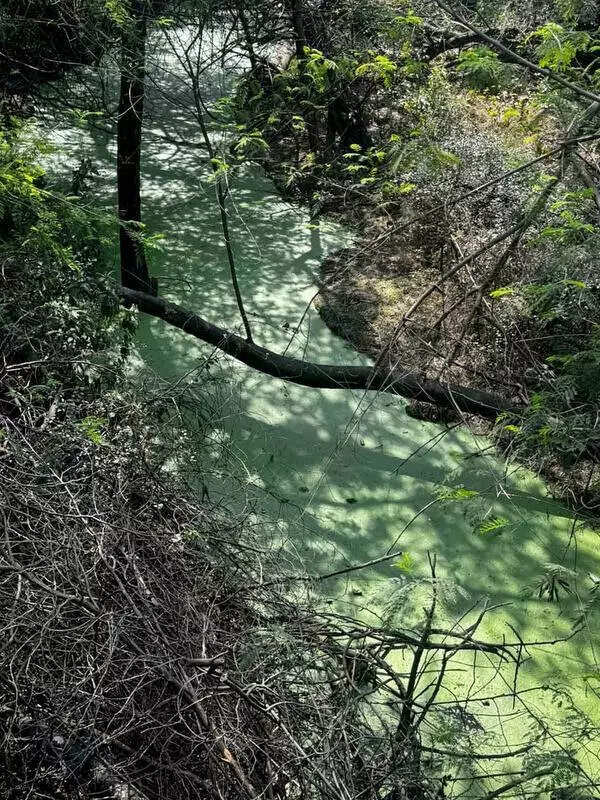 Sewage inflow creates kilometre-long pool inside JNU