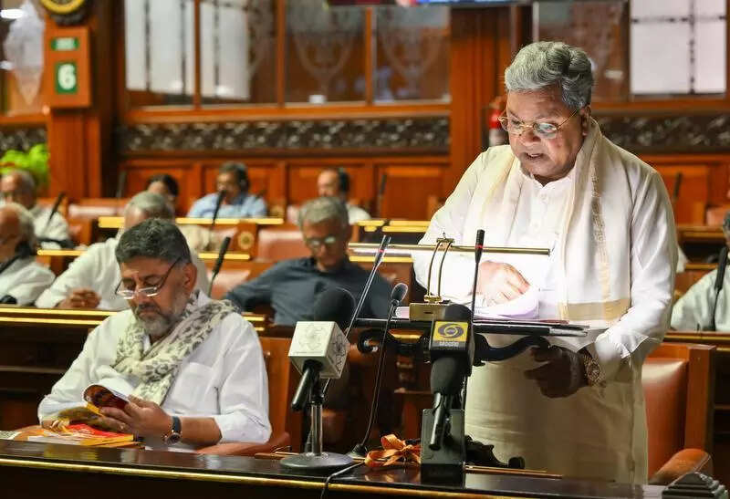 Karnataka budget: Pressing AI accelerator to boost farming, education &amp; more