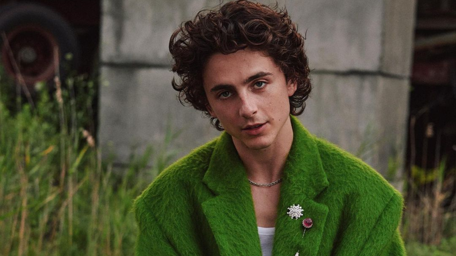 The Art of Baking: From Classic Bread to Artisan Pastries