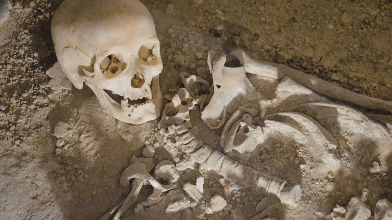 Stop Romanticizing the Past Why the Etruscan Tomb Discovery is a Failure of Modern Archaeology