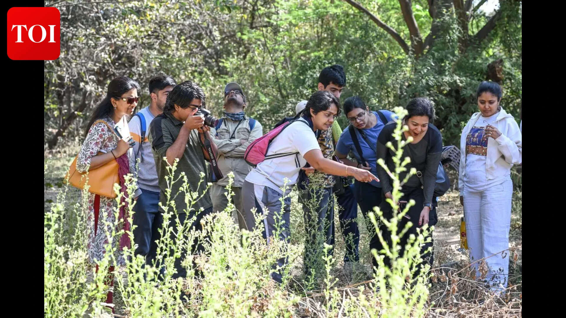 Butterflywalk_45
