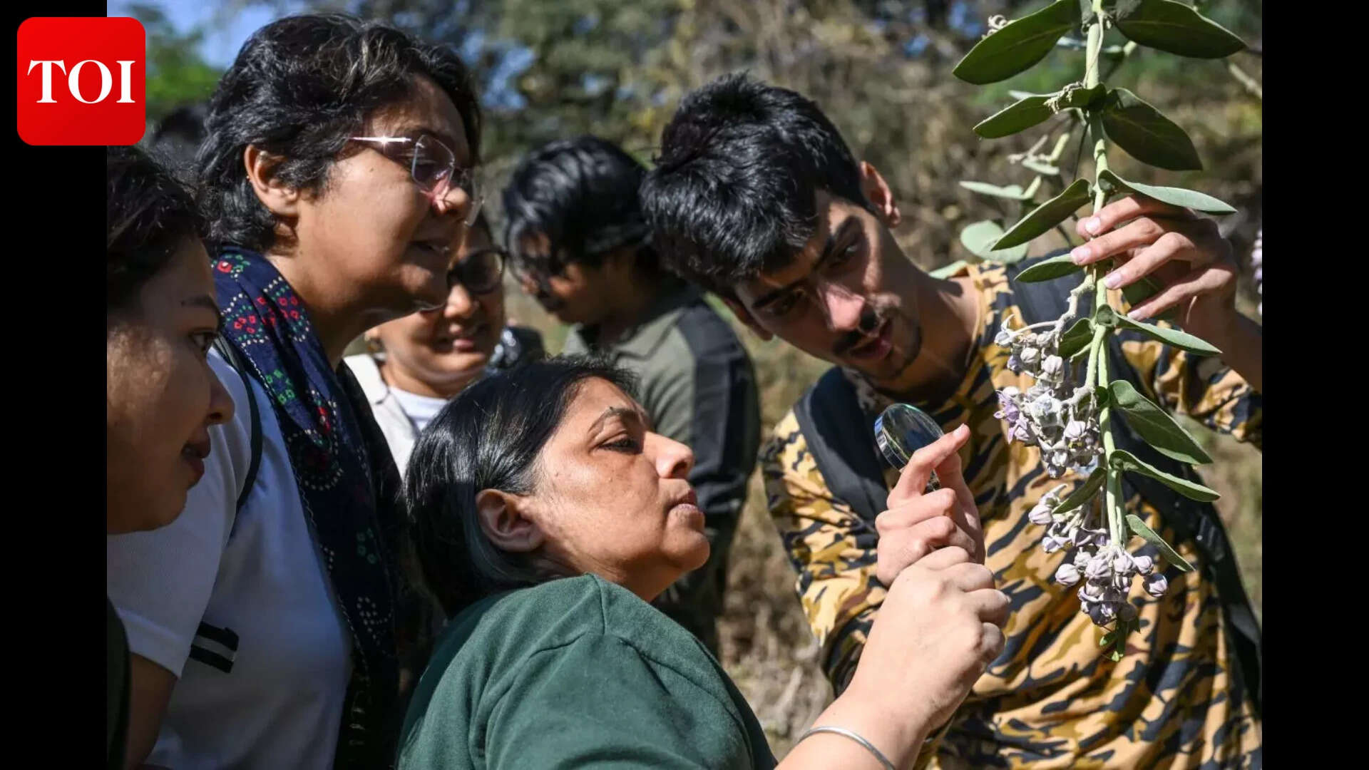 Butterflywalk_34