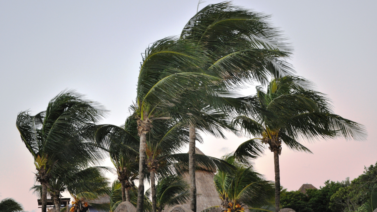 Saudi Arabia weather alert: NCM warns of rain, strong winds and low visibility across several regions