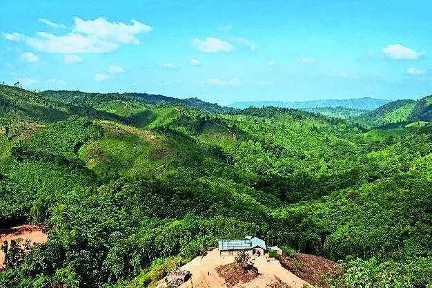 Army called out, Net blocked after 2 killed in violence in run-up to Meghalaya council polls