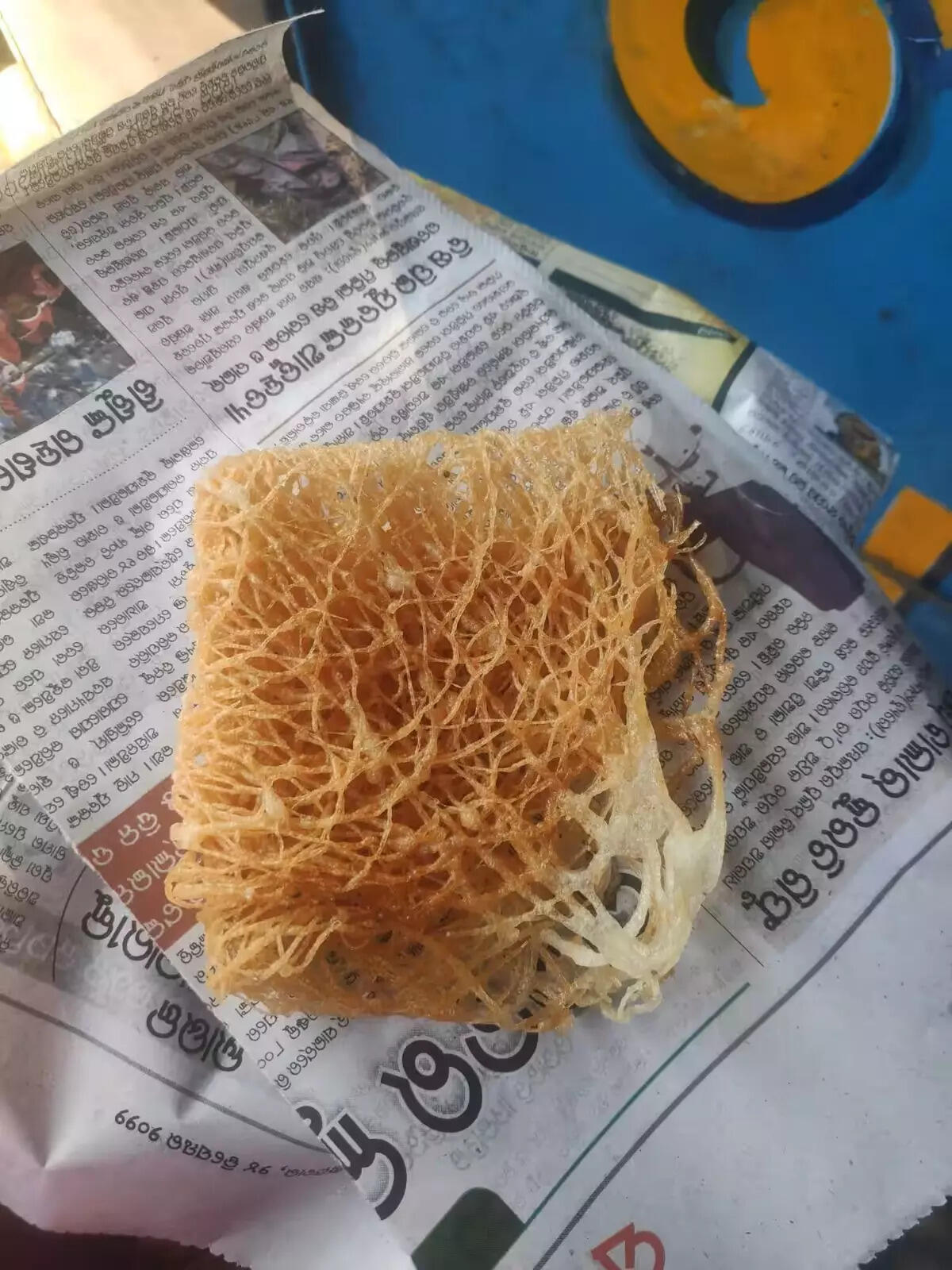 Admn starts process to secure GI tag for sarasatia