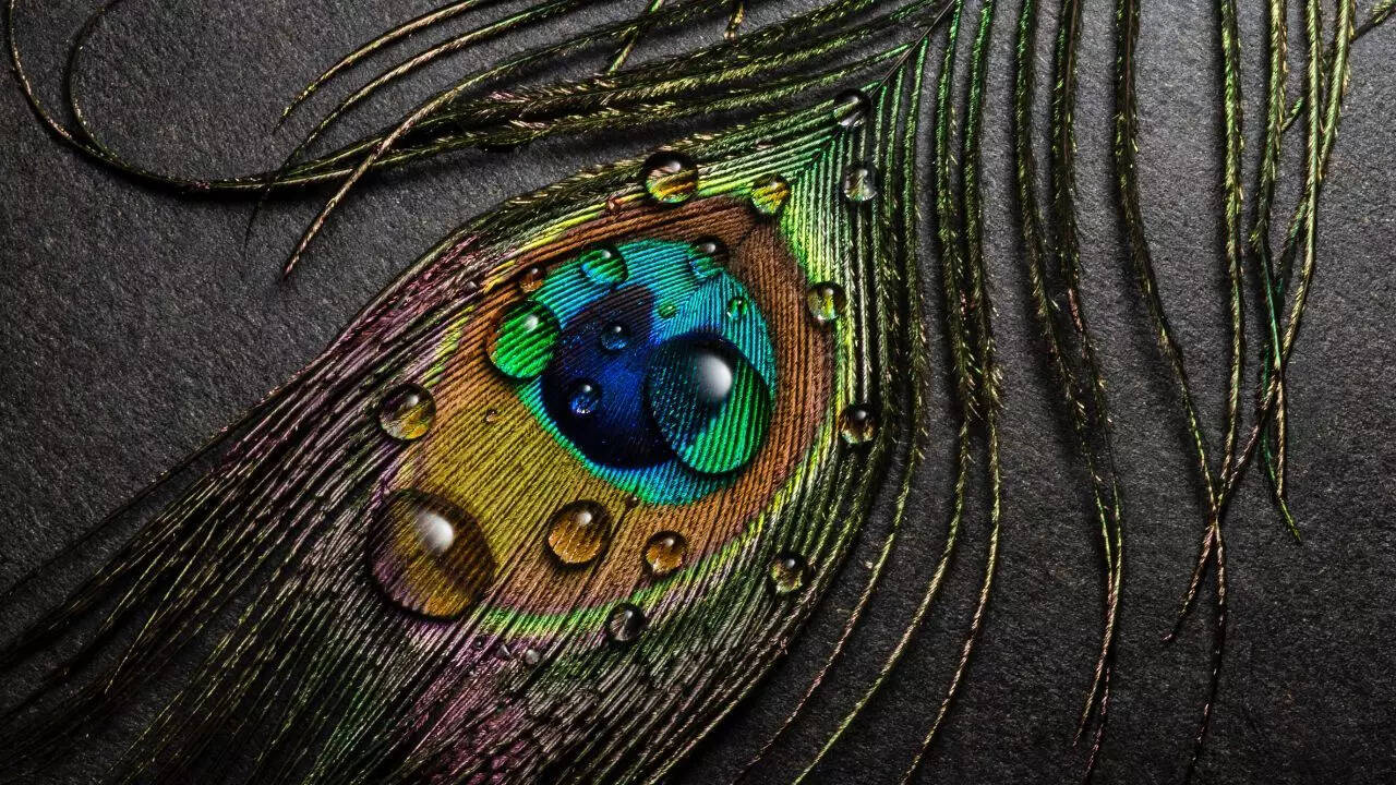 Significance and benefits of chanting "Hare Krishna Maha Mantra"