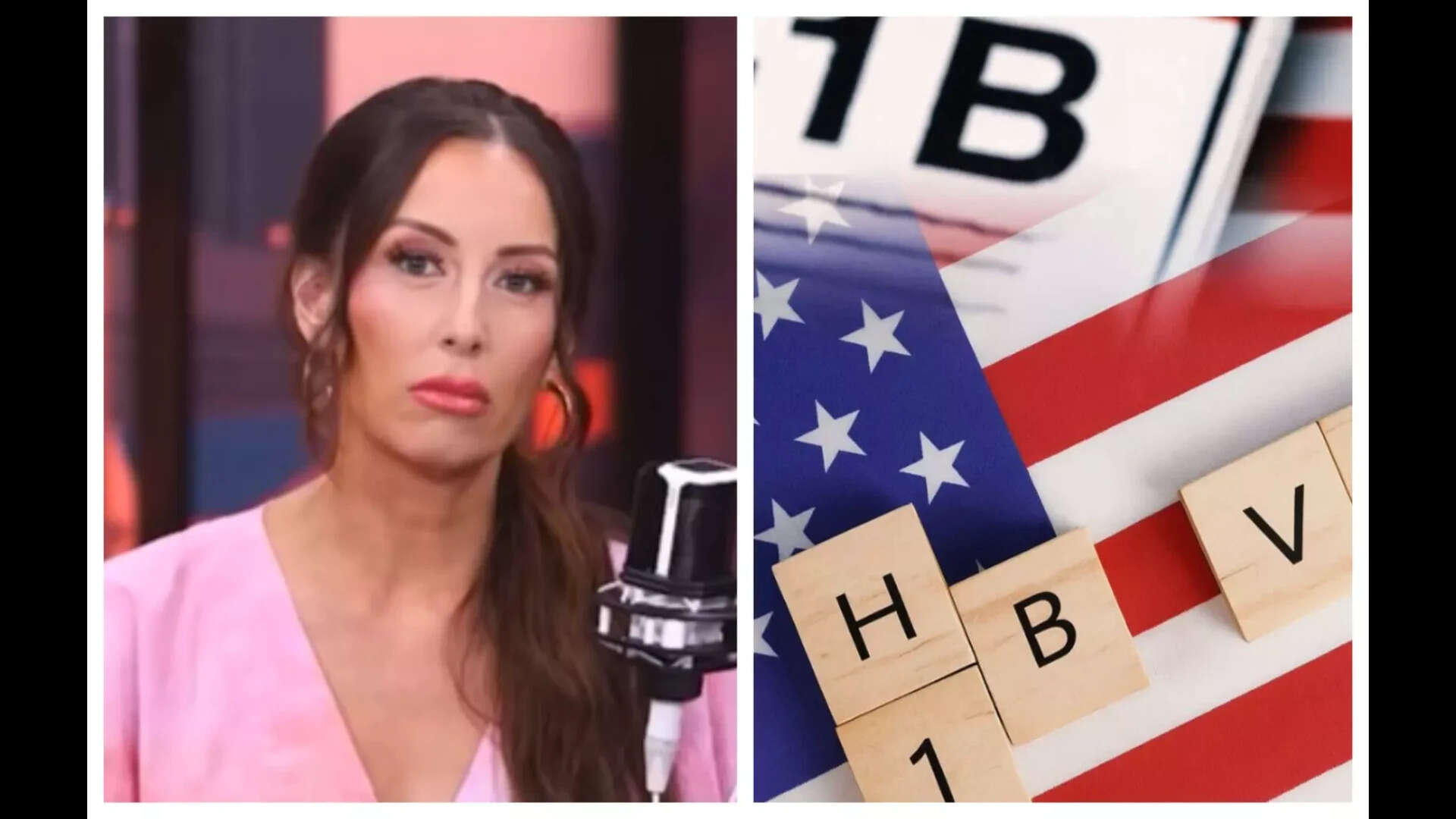 Janitors, ice cream sales analyst: Texas whistleblower reveals 'craziest H-1B job titles'