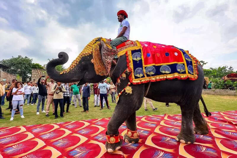 msid 129522707,imgsize 85476 https://jaipur.visitinrajasthan.com/wp-content/uploads/2023/10/cropped-cropped-R-2.png