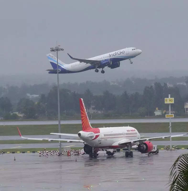 Karnataka to have its own civil aviation policy, says minister