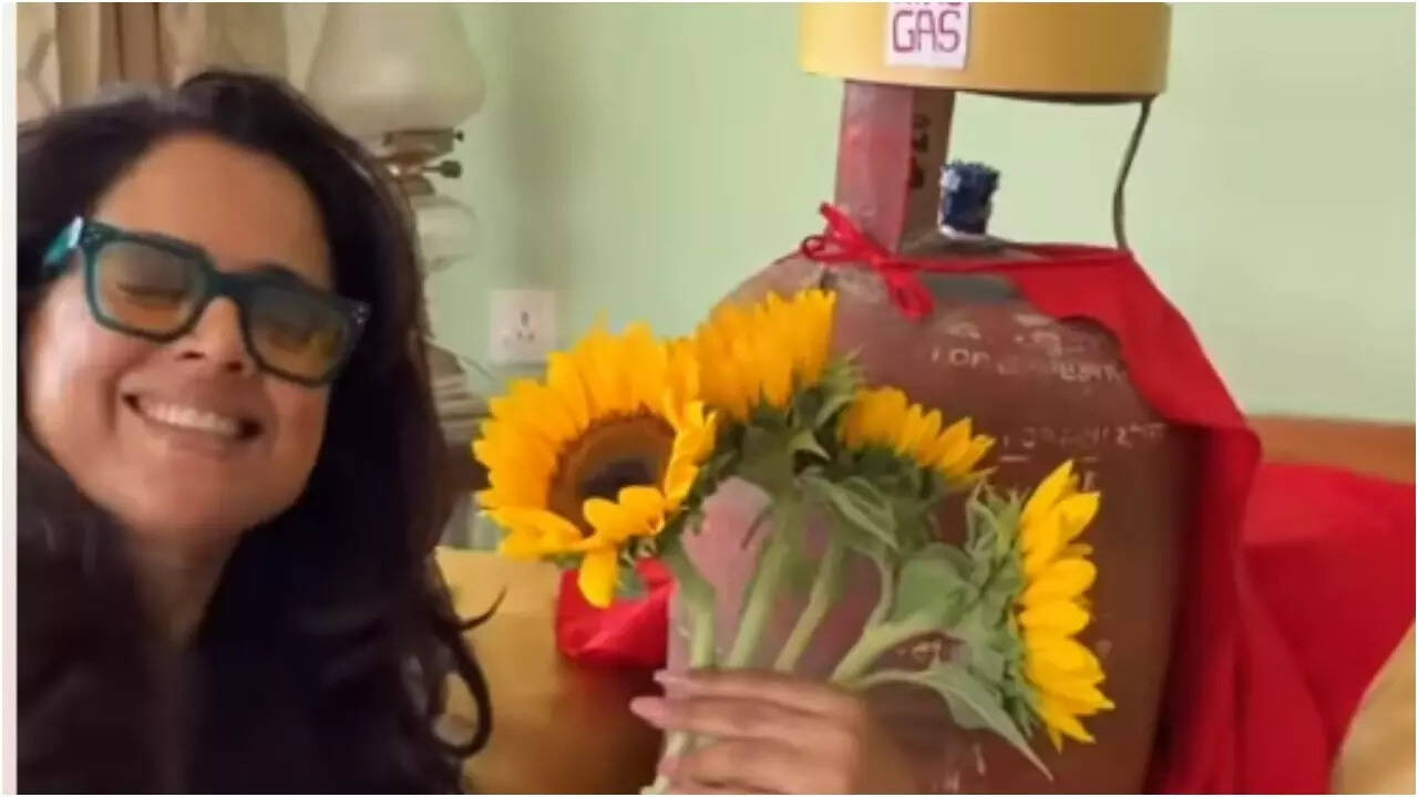 Sameera Reddy's hilarious LPG reel grabs attention