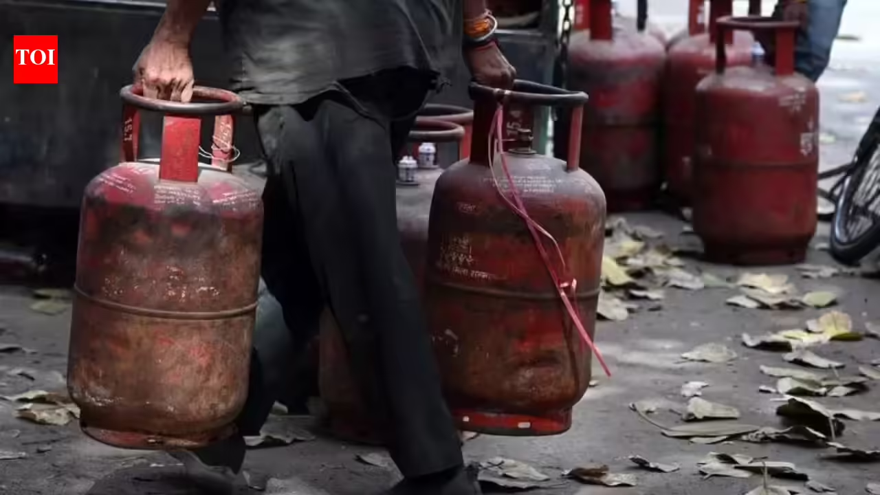 LPG woes: 2 power subsidy for TN eateries