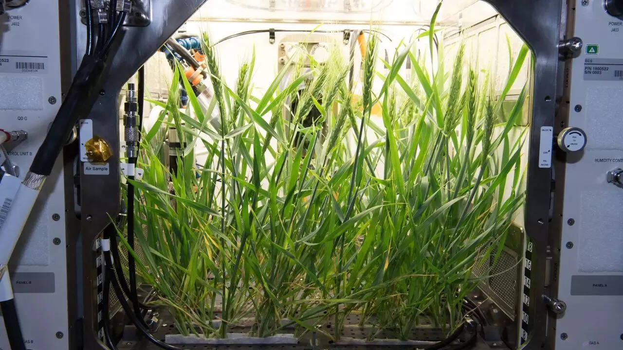 The Lunar Fertilizer Delusion Why Recycling Human Waste is a Logistics Nightmare Not a Solution