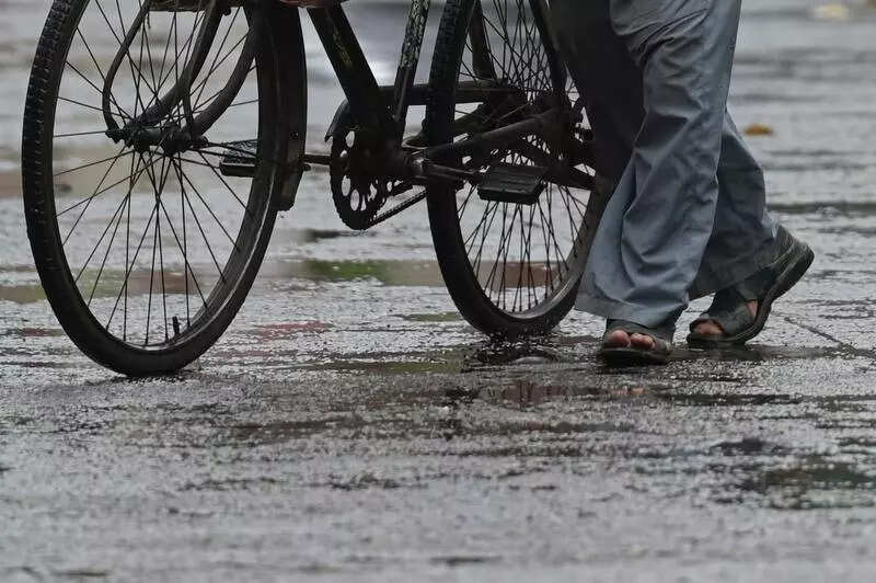 Light rain keeps heat under check, more showers likely