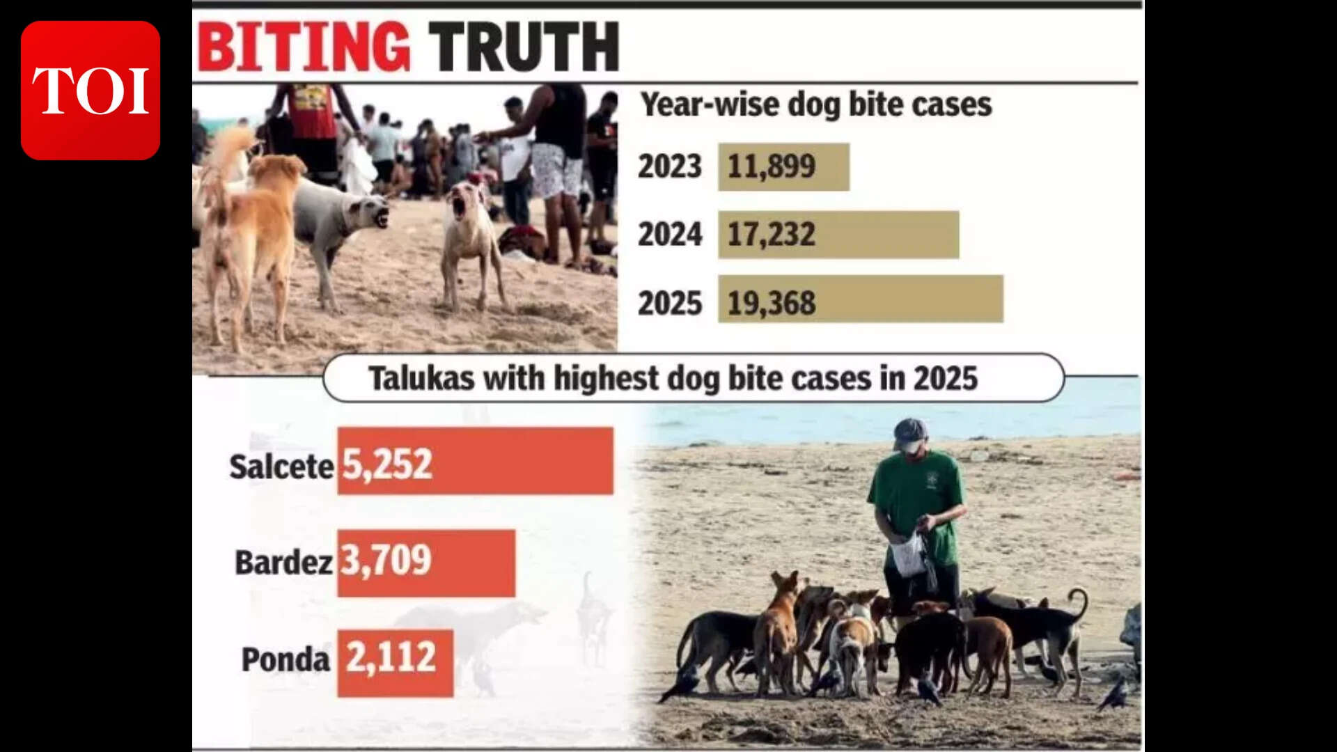 Shortage of anti-rabies vaccine in state amid rising dog bite cases