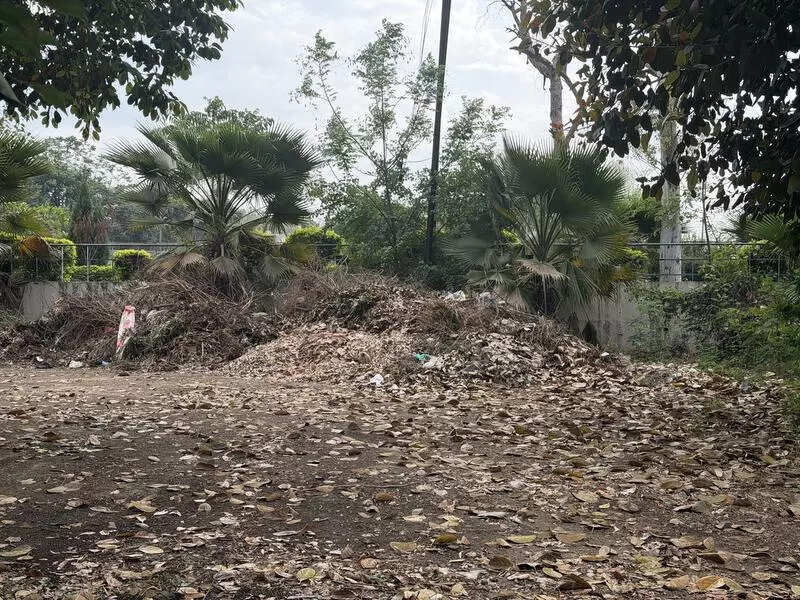 Organic waste goes up in flames, leaves Ludhiana breathless