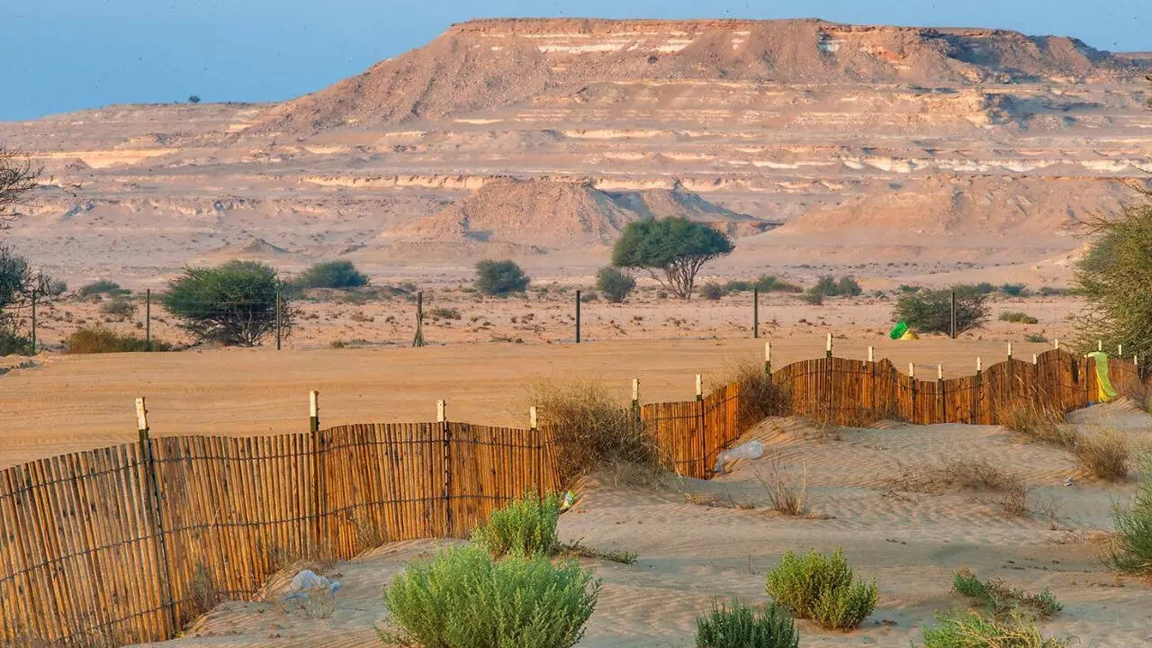 msid 129606549,imgsize 143754